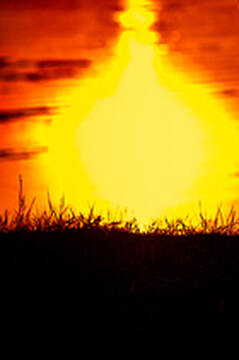 Foto publica de Temperance
